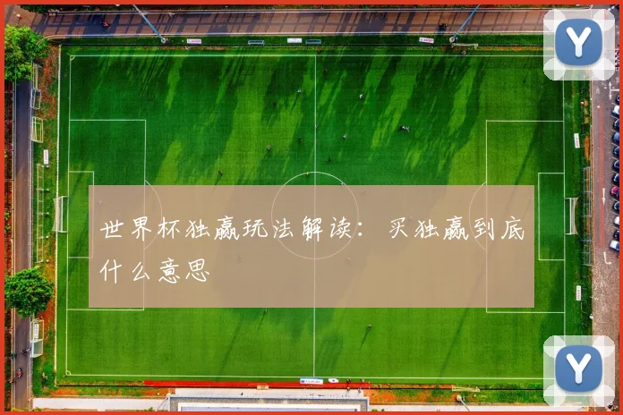 世界杯独赢玩法解读:买独赢到底什么意思