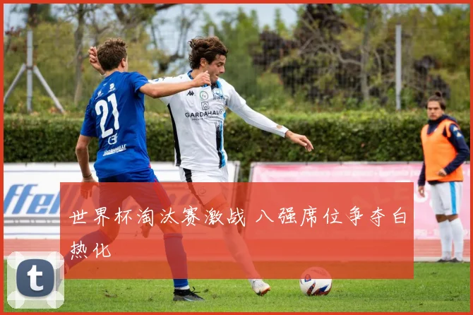 世界杯淘汰赛激战 八强席位争夺白热化