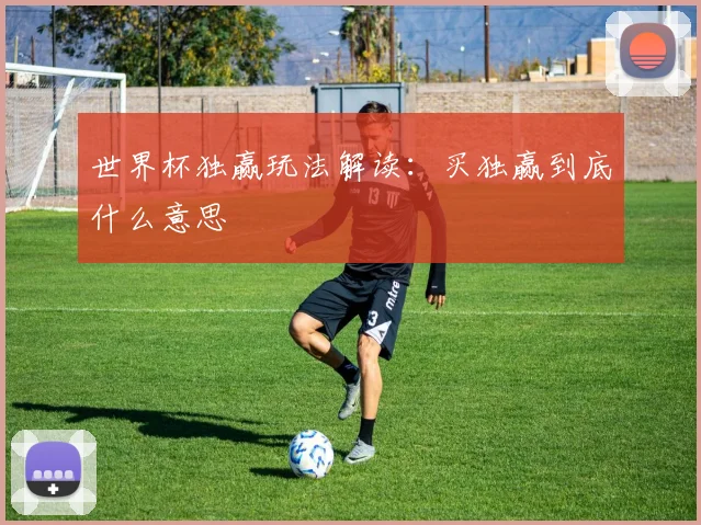 世界杯独赢玩法解读:买独赢到底什么意思
