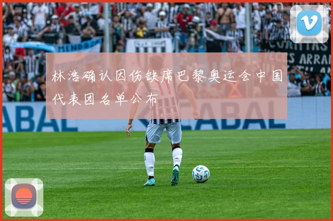 林浩确认因伤缺席巴黎奥运会中国代表团名单公布