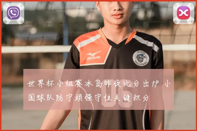 世界杯小组赛冰岛昨夜比分出炉 小国球队防守顽强守住关键积分