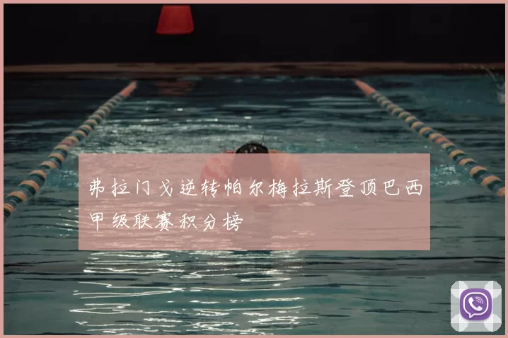 弗拉门戈逆转帕尔梅拉斯登顶巴西甲级联赛积分榜